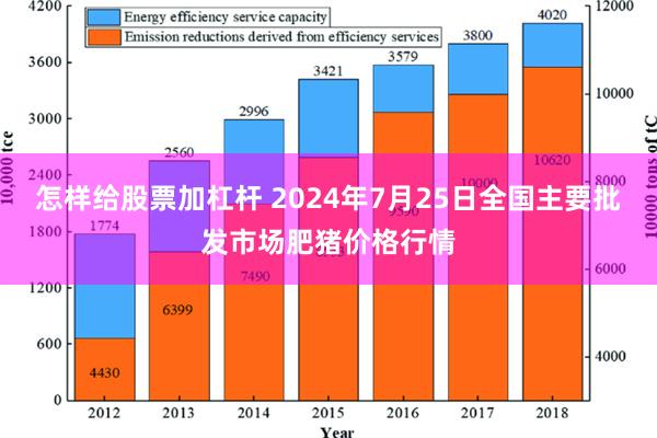 怎样给股票加杠杆 2024年7月25日全国主要批发市场肥猪价格行情