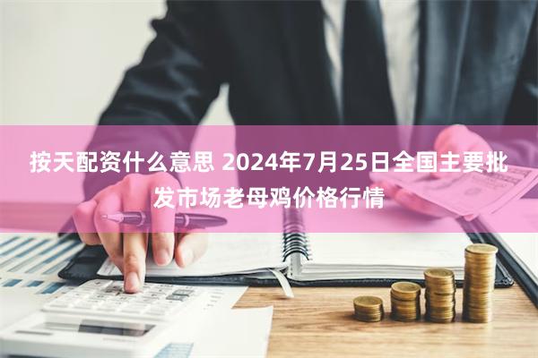 按天配资什么意思 2024年7月25日全国主要批发市场老母鸡价格行情