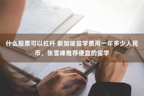 什么股票可以杠杆 新加坡留学费用一年多少人民币，张雪峰推荐便宜的留学