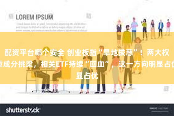 配资平台哪个安全 创业板指“旱地拔葱”！两大权重成分挑梁，相关ETF持续“回血”，这一方向明显占优