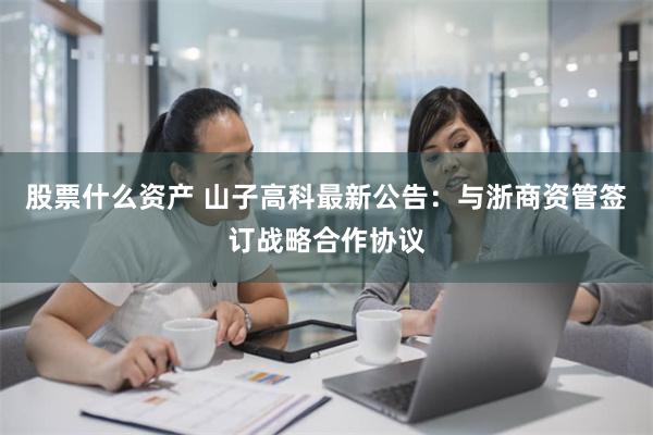 股票什么资产 山子高科最新公告：与浙商资管签订战略合作协议