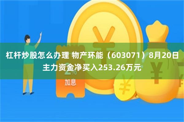 杠杆炒股怎么办理 物产环能（603071）8月20日主力资金