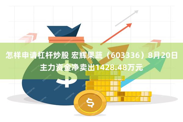 怎样申请杠杆炒股 宏辉果蔬（603336）8月20日主力资金