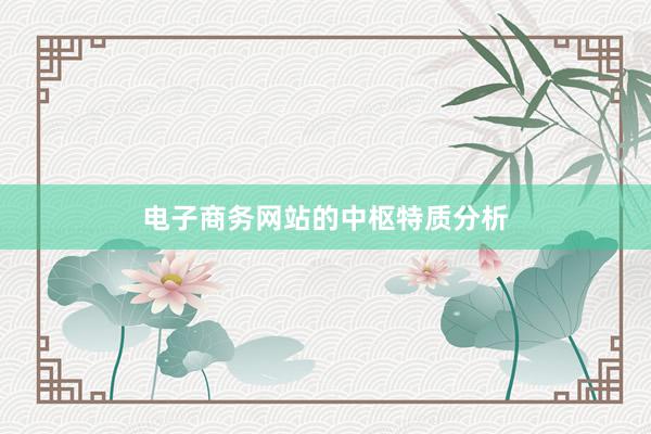 电子商务网站的中枢特质分析