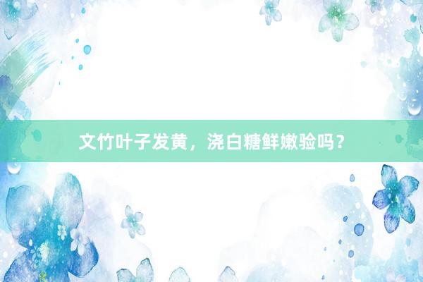 文竹叶子发黄，浇白糖鲜嫩验吗？
