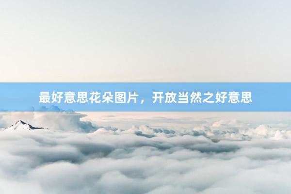 最好意思花朵图片，开放当然之好意思