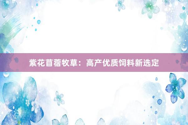 紫花苜蓿牧草：高产优质饲料新选定